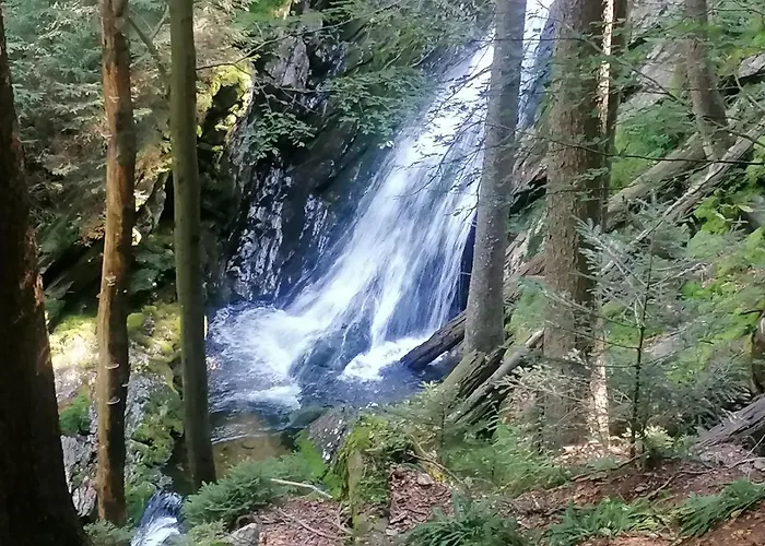 Lägenhet Certova - Certak Železná Ruda